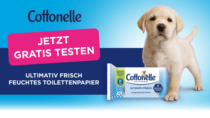 Cottonelle Feuchtes Toilettenpapier Gratis Testen